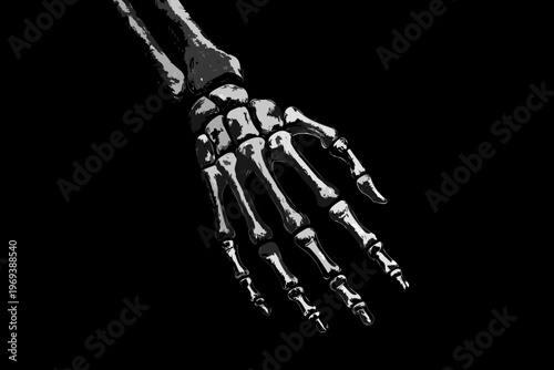 A detailed illustration of a human hand skeleton against a black background
