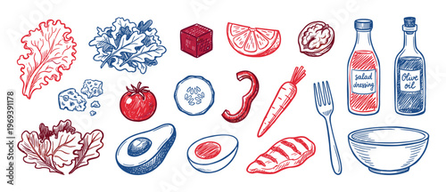 Collection of hand-drawn salad ingredients, including fresh vegetables, cheese, nuts, and dressings, in a vibrant sketch style