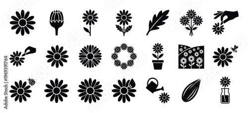 Collection of various black silhouette daisy flower icons and related gardening elements in a clean, graphic style