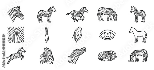 Collection of various black outline zebra icons and elements, including full bodies, heads, and patterns, presented in a clean graphic style
