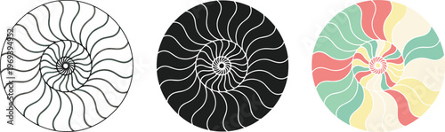 Abstract spiral seashell mandala illustration set featuring colorful nautilus patterns, black silhouette, and line art outline for coloring and logo design.