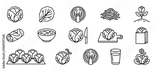 Collection of various cabbage-related line art icons, including whole heads, leaves, chopped, and prepared dishes, presented in a clean, minimalist style