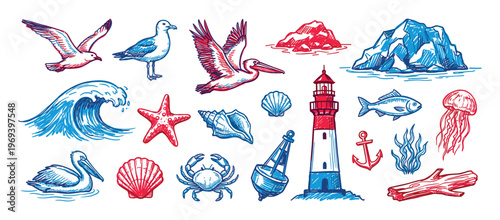 Various hand-drawn marine life and nautical elements, including birds, shells, fish, and a lighthouse, are depicted in a vibrant blue and red sketch style