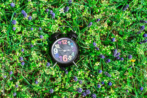 Alarm clock black on grass purple flowers in nature. No people.