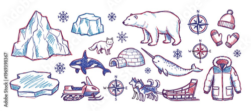 Collection of hand-drawn arctic elements, including animals, ice formations, and winter gear, depicted in a sketch style