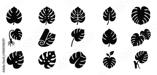 Collection of fifteen black silhouette monstera deliciosa leaves in various shapes and styles, depicted as graphic icons