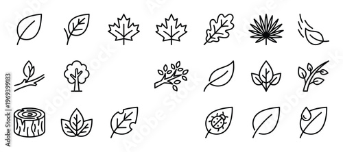 Collection of various black outline nature icons, including different types of leaves, trees, branches, and a tree stump, presented in a clean, minimalist style