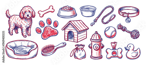 Collection of hand-drawn dog accessories and pet care items, including a cute poodle, a bone, food bowls, and toys, rendered in a charming sketch style