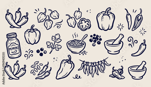 Spices and healthy herbs, chili and pepper doodle, kitchen seasoning vector, vegetable line art, organic food pattern, cooking ingredients icons, hand drawn 