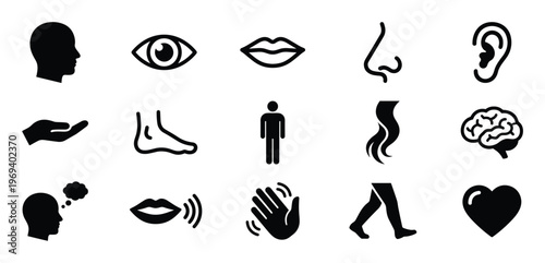Collection of human body parts and senses icons in black silhouette, depicting various anatomical and sensory concepts