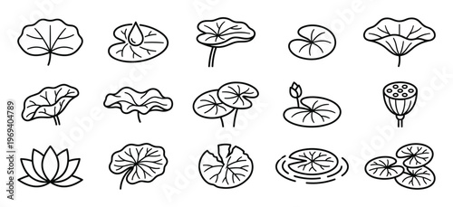 Collection of various black outline lotus leaves, flowers, and seed pods in a clean, graphic style