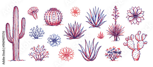 Hand-drawn desert plant illustrations feature various cacti, succulents, and flowers in a vibrant red and blue sketch style