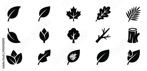 Collection of fifteen black silhouette nature icons including various leaves, a tree, a branch, and a tree stump