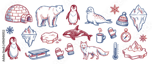 Hand-drawn red and blue arctic animals and winter elements collection, featuring a polar bear, penguin, seal, and orca