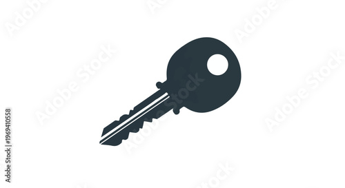Single dark metallic key on a plain white background, symbolizing access and solutions