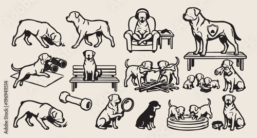 Beagle dog breed, hound puppy line art, pet hunting vector, active dogs background, beagle owner pattern, animal breed illustration, hand drawn hound art
