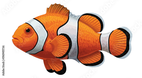 Vibrant Orange and White Clownfish Illustration with Detailed Fins