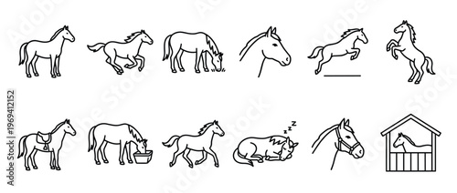 Collection of various horse line art icons depicting different poses and activities in a simple, clean style