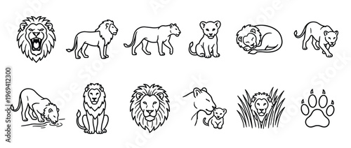 Collection of black outline lion icons depicting various poses and family interactions, presented in a clean, graphic style