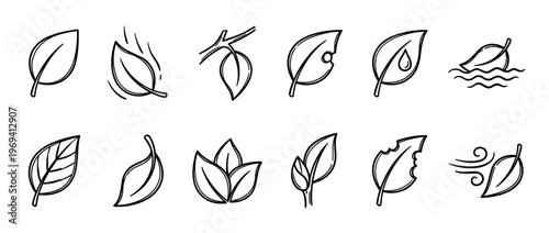 Various hand-drawn doodle leaf icons in black outline, depicting different states and interactions with nature, on a clean white surface