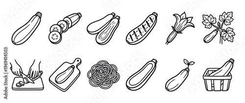 Collection of hand-drawn black and white zucchini illustrations, showcasing various forms from whole to sliced, grilled, and growing