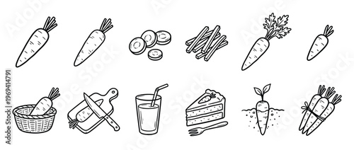 Collection of hand-drawn carrot illustrations, including whole carrots, slices, sticks, juice, cake, and a carrot growing in the ground, presented in a clean, graphic style