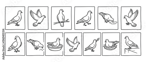 Collection of twelve simple black and white line drawings depicting pigeons in various poses and activities