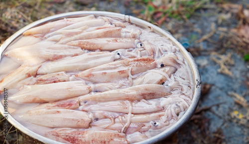 Fresh seafood and squid in traditional market