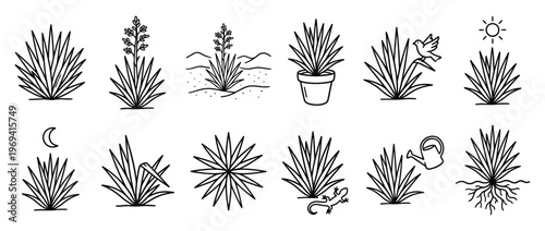 Various black outline agave plant icons with different natural elements, showcasing diverse growth stages and environmental interactions
