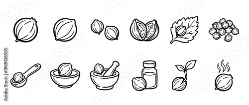 Collection of black and white line art illustrations depicting various forms of cardamom, including whole pods, crushed seeds, leaves, and preparations