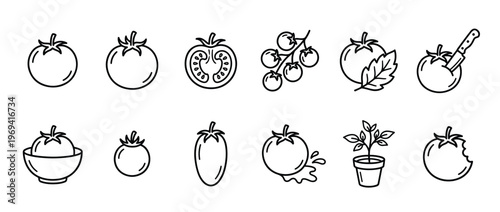 Collection of black outline tomato icons showing whole, sliced, on vine, with leaf, and bitten