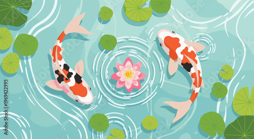 Top view of two colorful koi fish swimming in a pond with lily pads and a pink lotus flower in clear water.