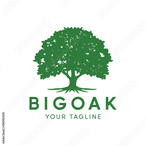 Big Oak Tree logo Design vector