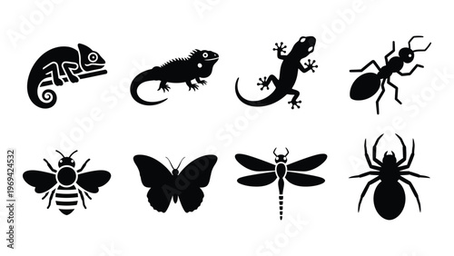 A collection of black insect and reptile silhouettes including a chameleon lizard ant and spider silhouette high quality professional detailed modern