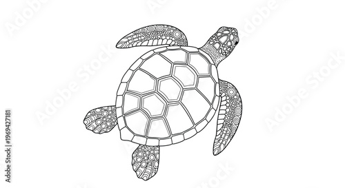 Intricate black and white line art illustration of a sea turtle shell patterns for adult coloring book or tattoo design.