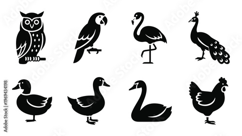 A collection of black bird silhouettes showcases diverse avian species including owls parrots flamingos and fowl silhouette high quality professional detailed