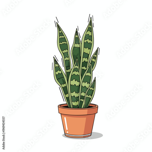 A potted snake plant with striped green leaves, on white