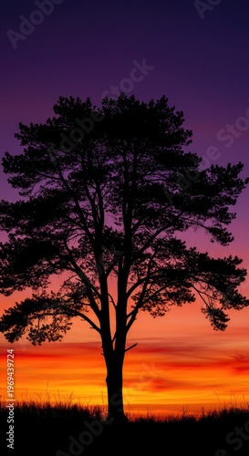 A dramatic black tree silhouette against a fiery orange and purple sky at dusk, creating a peaceful and highly contrasting mood ,serene ,contrast ,dark