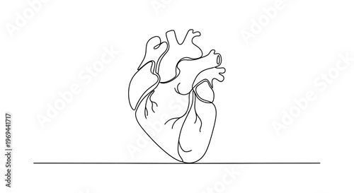 Minimalist Single Line Drawing of Human Heart on White Background