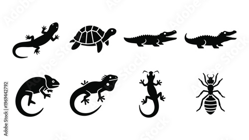 A collection of reptile and arthropod silhouettes including lizards turtles crocodiles and insects silhouette high quality professional detailed modern elegant stylish