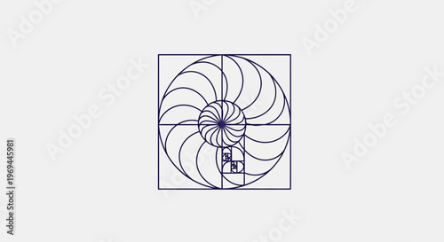 Geometric spiral design within a square in a minimal graphic style