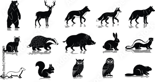Wild Animal Silhouette Set Featuring Bear Deer Wolf Fox Badger Rabbit Squirrel Owl and Forest Wildlife Shadow Icons Collection