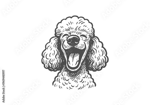 Poodle Dog hand drawn simple sketch vector illustration