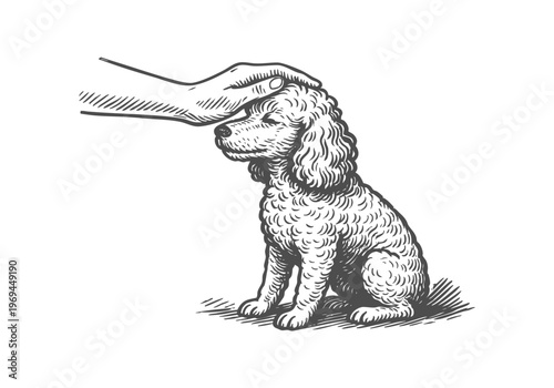 Poodle Dog hand drawn simple sketch vector illustration