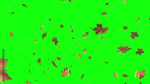 Autumn Leaves Falling  Green Screen Animation