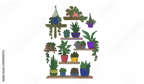 Colorful floating shelves with assorted indoor plants vector illustration in bold sketch style isolated on white background