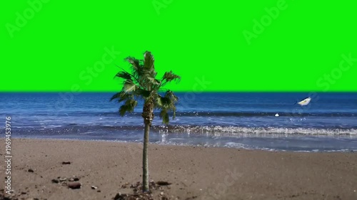 Beautiful Sea View with Fishes jumping On Green Screen Background