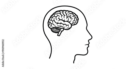 Human head outline containing a detailed illustration of the brain