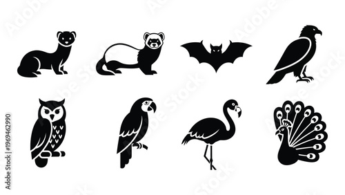 A collection of various black animal silhouettes including a ferret bat owl and peacock displayed on a white background silhouette