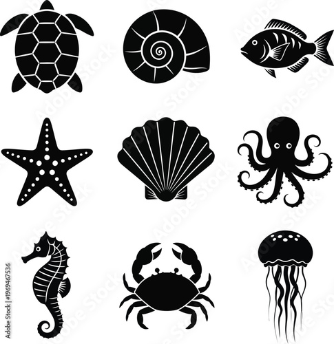 Black and white ocean animal silhouettes sea turtle nautilus shell fish starfish scallop shell